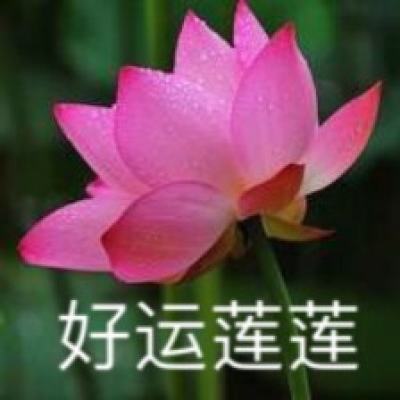 贵州省自然资源厅党委书记、厅长周文接受纪律审查和监察调查